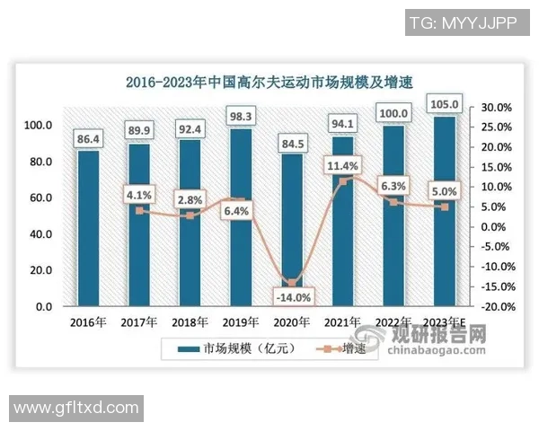 成都排球队技术分析与战术创新的深度探讨与展望 成都排球队技术分析与战术创新的深度探讨与展望