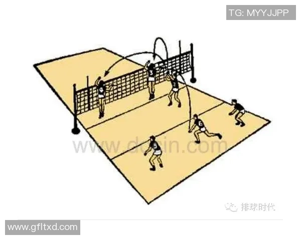 排球之美：深入重庆排球队灵活性训练与战术解析