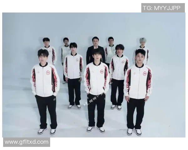 王者荣耀精彩解析：深入探讨JDG战队的默契配合与战术策略