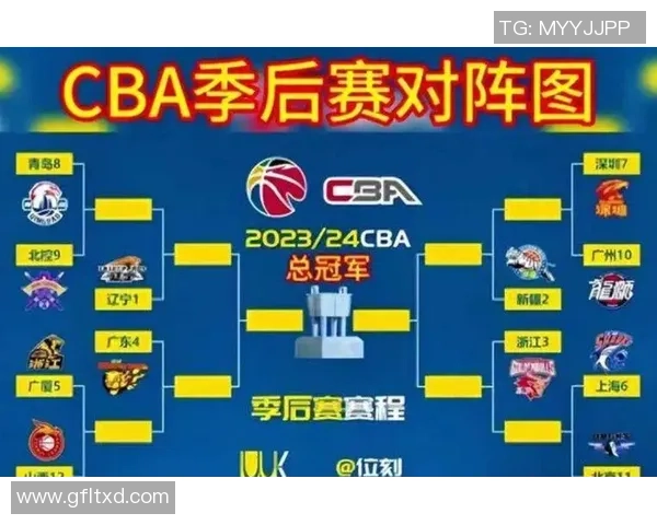 2017年CBA季后赛辽宁队对阵北京队的精彩对决回顾与分析 2017年CBA季后赛辽宁队对阵北京队的精彩对决回顾与分析